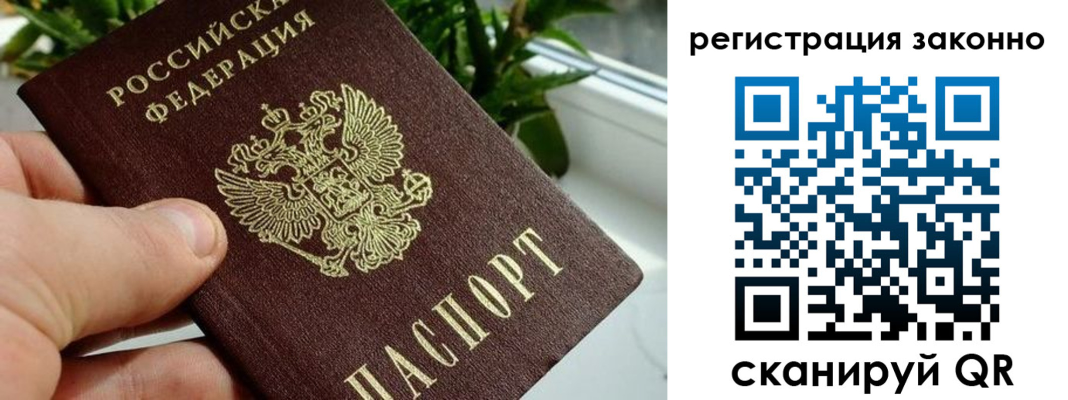 прописка гарантия в Щёкино